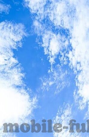 949伦理电影网-949伦理电影网，网络伦理的镜像与反思