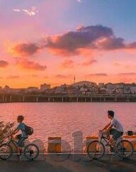 av人妻社区男人天堂-探索成人内容社区的多元面貌，AV人妻社区与男人天堂的微妙平衡