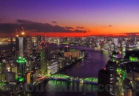 大象传媒公司网站入口-探索大象传媒公司网站入口，一站式文化传播的桥梁