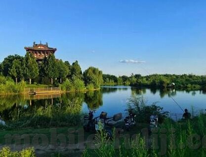 董小宛 果冻传媒 麻豆-董小宛与果冻传媒麻豆，古代美学与现代传媒的巧妙融合