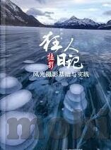 工程伦理案例-工程项目中的伦理困境与抉择，以某桥梁坍塌事故为例