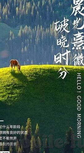 红杏视频麻豆-探索网络视频内容与心理健康，一个关于思考的漫步