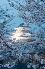 麻豆传媒映画公司-麻豆传媒映画公司，艺术与商业的双重探索