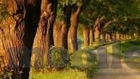 麻豆果冻传媒系列视频-麻豆果冻传媒系列视频——为网络内容创新带来新视角