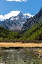 人妻2020无码在线-探索现代家庭角色的多元面貌，人妻2020的视角